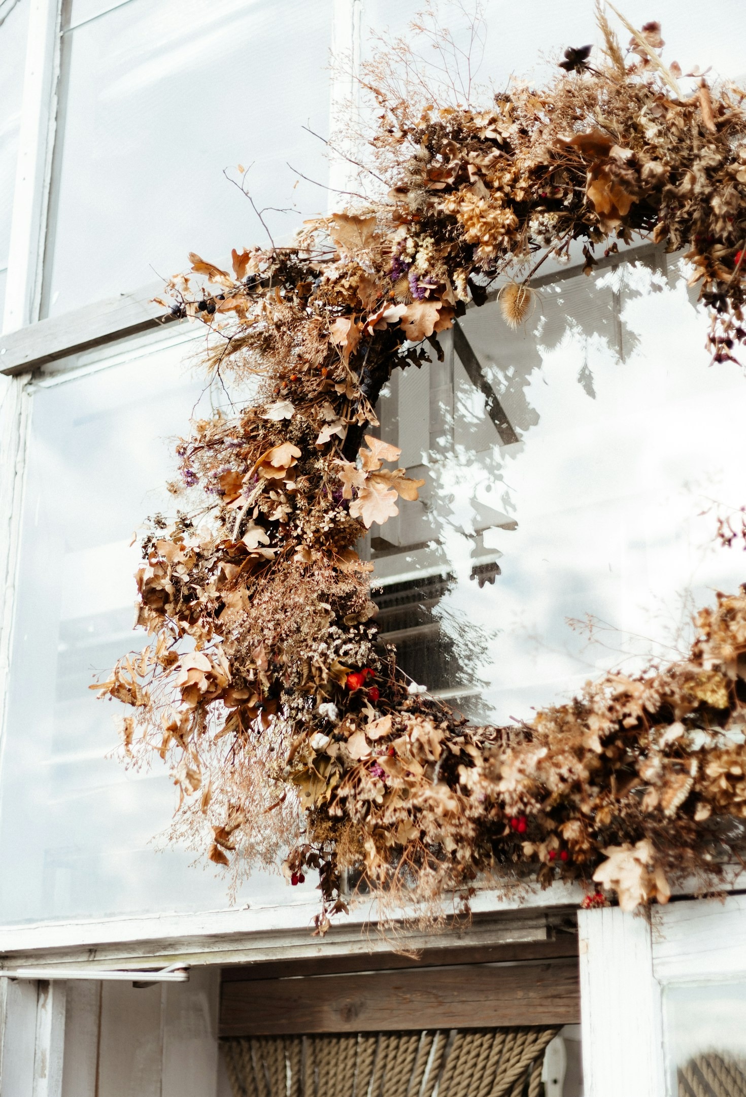 Creating Artistic Displays with Poppy Pods